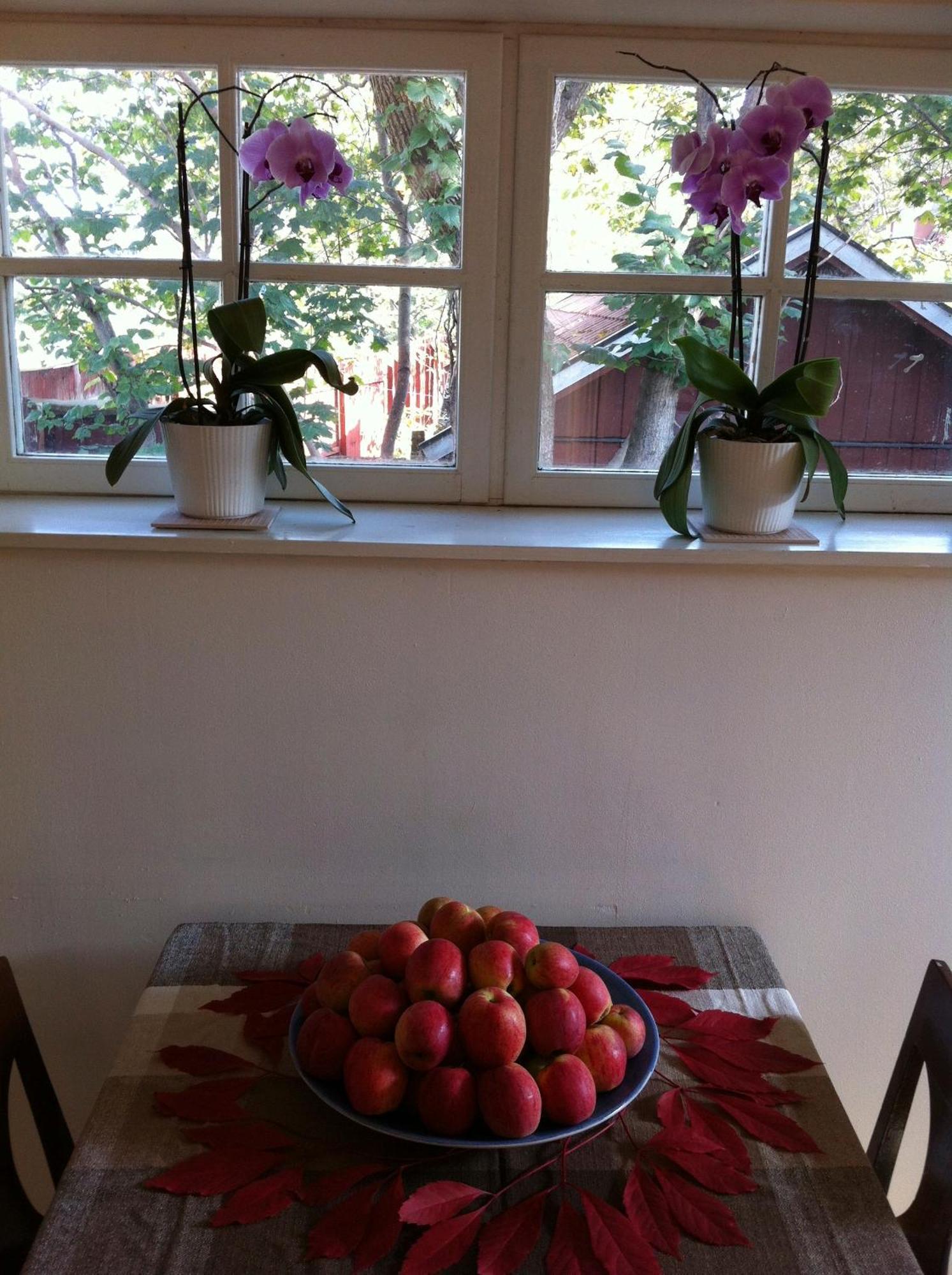 Stockholm B&B Cottage แนคคา ห้อง รูปภาพ