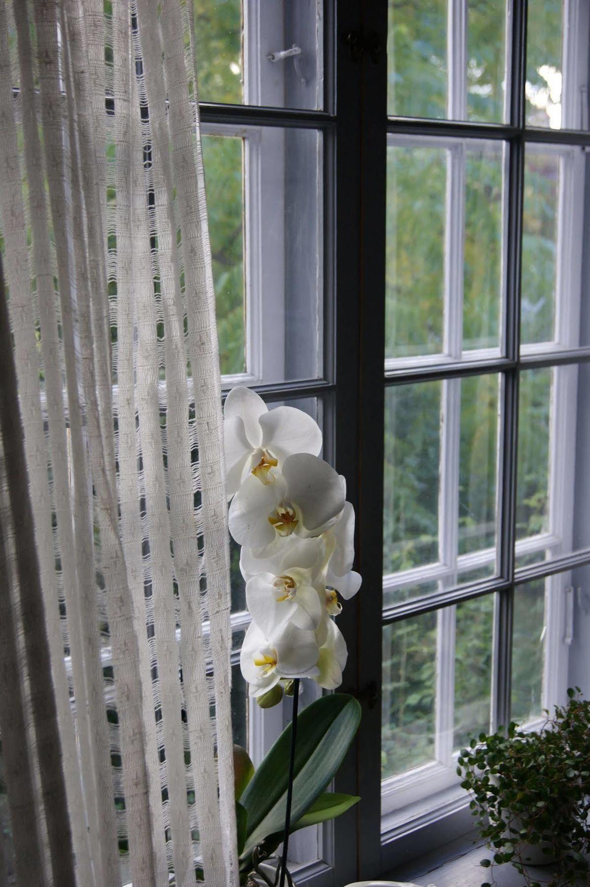 Stockholm B&B Cottage แนคคา ภายนอก รูปภาพ